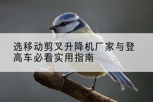 思明电动升降机厂家-选移动剪叉升降机厂家与登高车必看实用指南