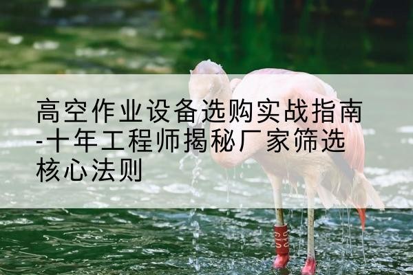 思明剪叉式升降机厂家-高空作业设备选购实战指南-十年工程师揭秘厂家筛选核心法则