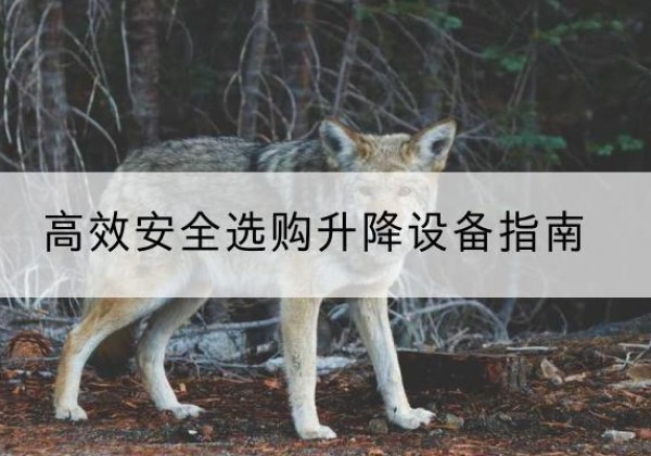 思明升降货梯厂家推荐-*安全选购升降设备指南