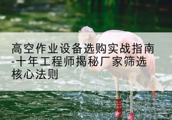 思明剪叉式升降机厂家-高空作业设备选购实战指南-十年工程师揭秘厂家筛选核心法则